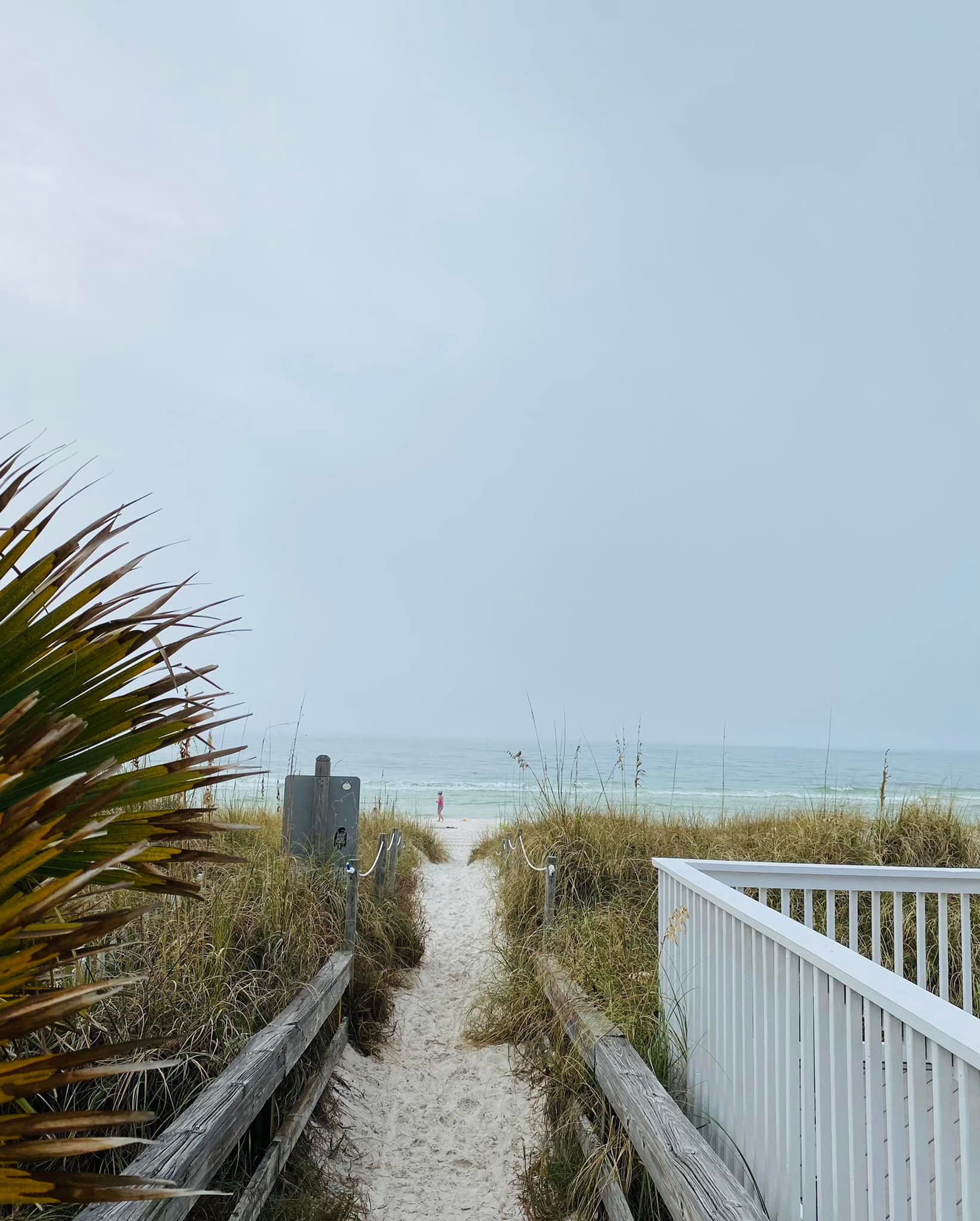 Beach path to the Gulf